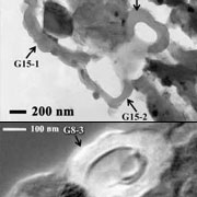 Углеродные глобулы в срезах канадского метеорита — возможные прообразы живых клеток (фотографии K.Nakamura-Messenger/NASA/JSC).